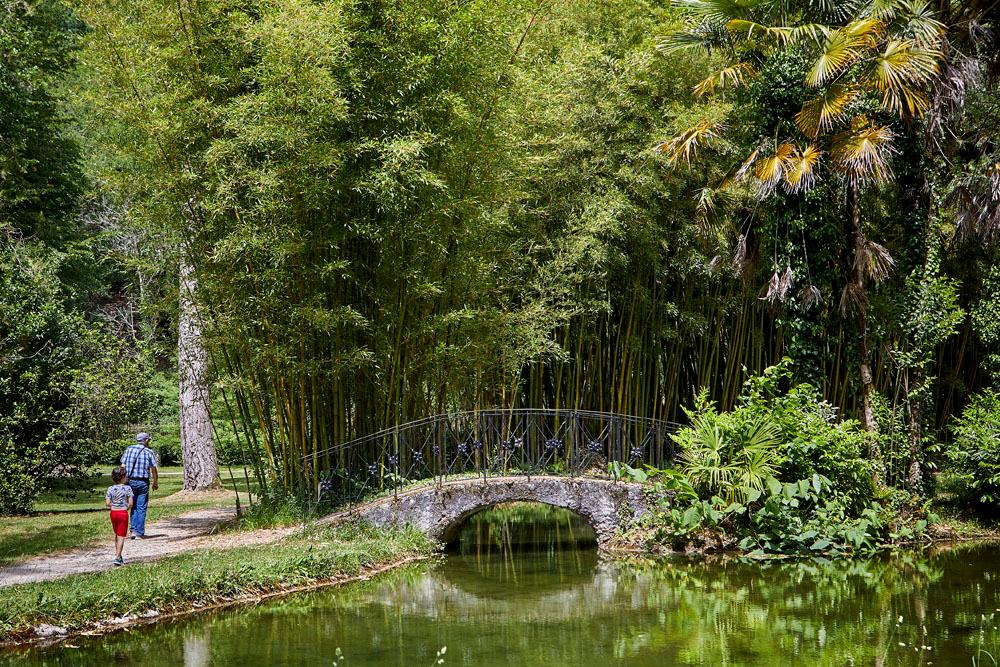 Personas paseando por el jardín botánico